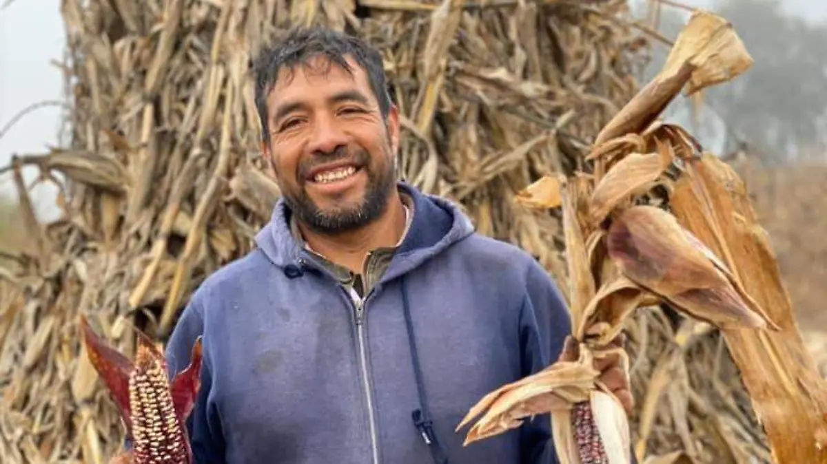 Simón Angoa mazorcas 