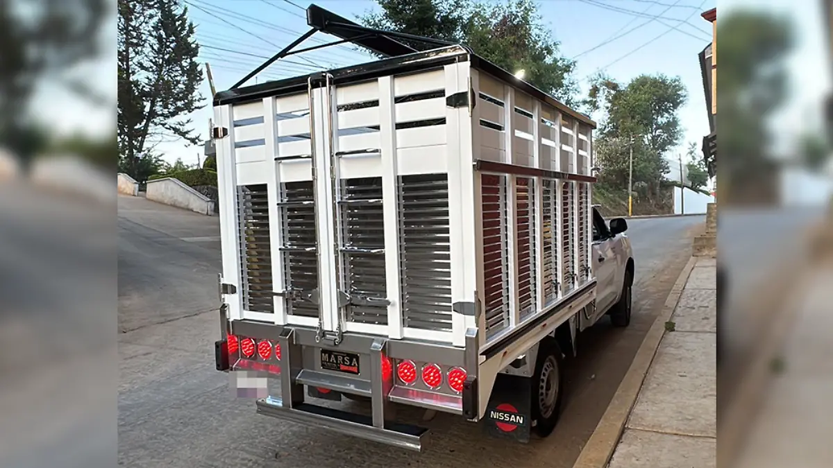 camioneta blanca (2) 2