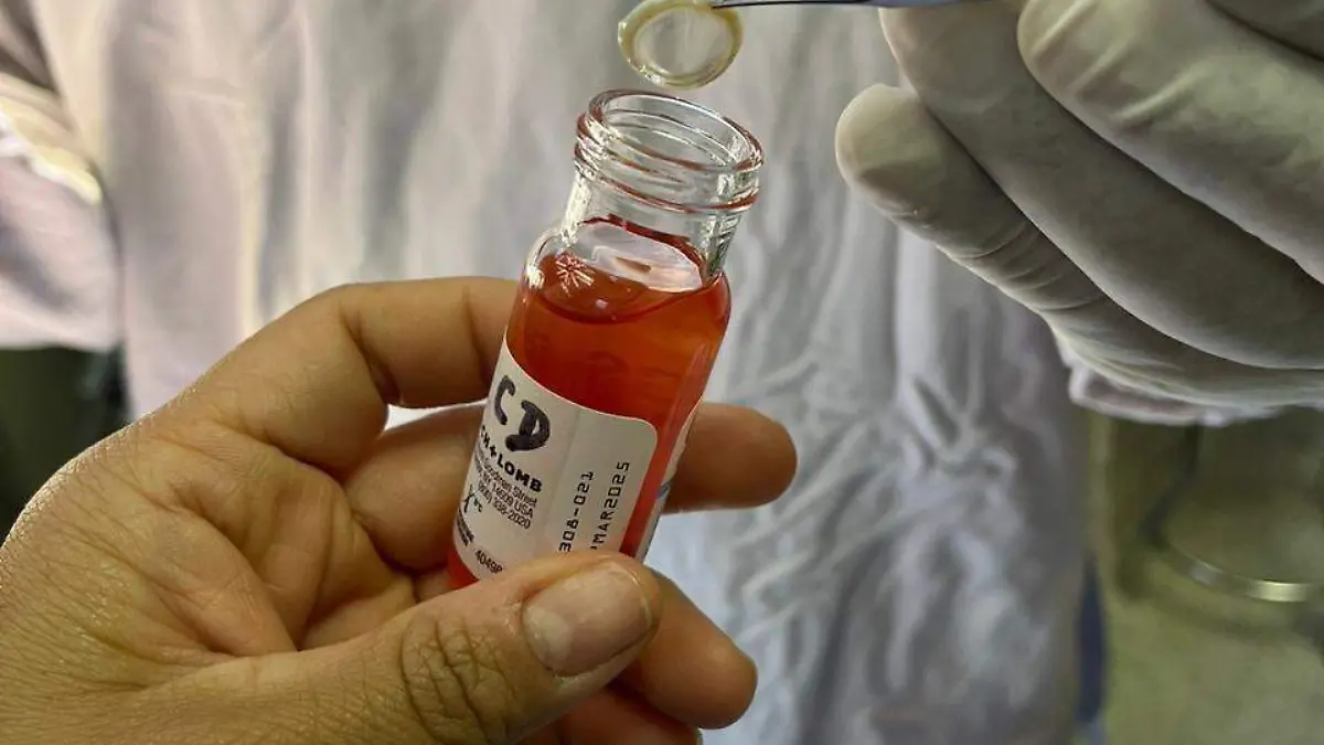 donación de órganos (1)