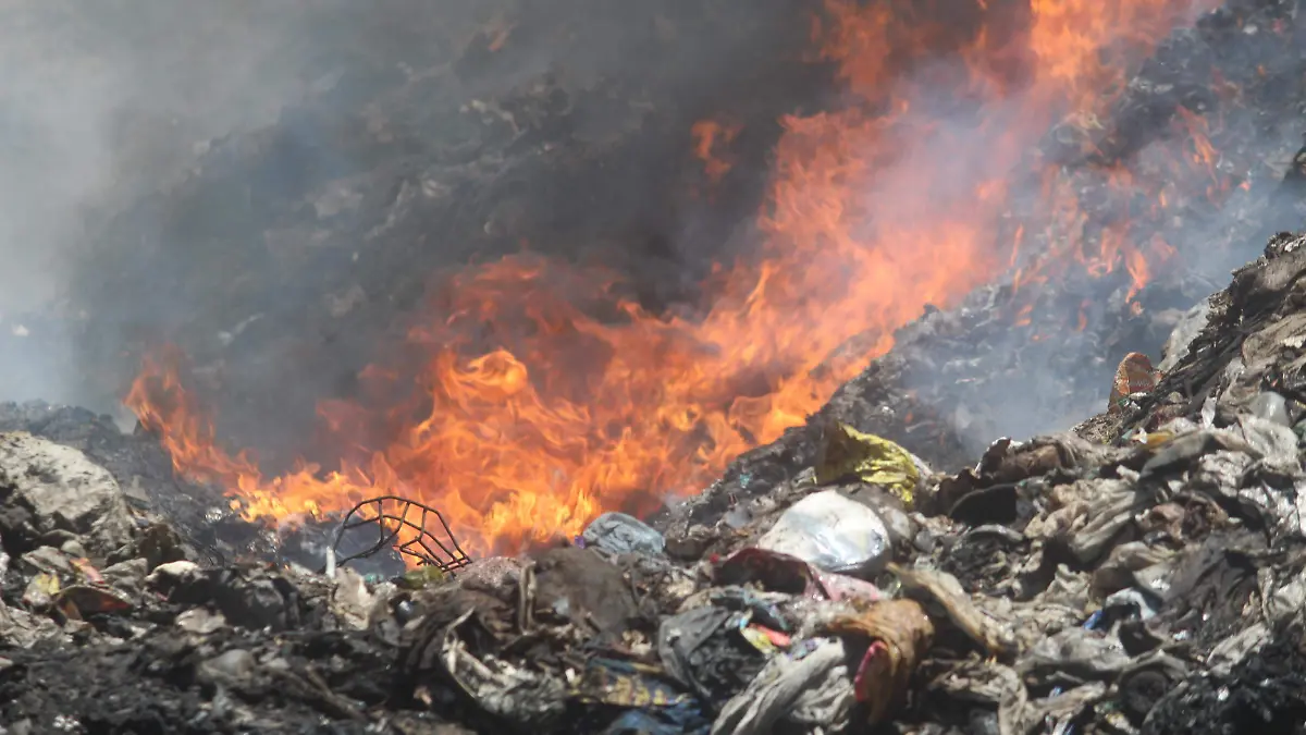 BASURA 4