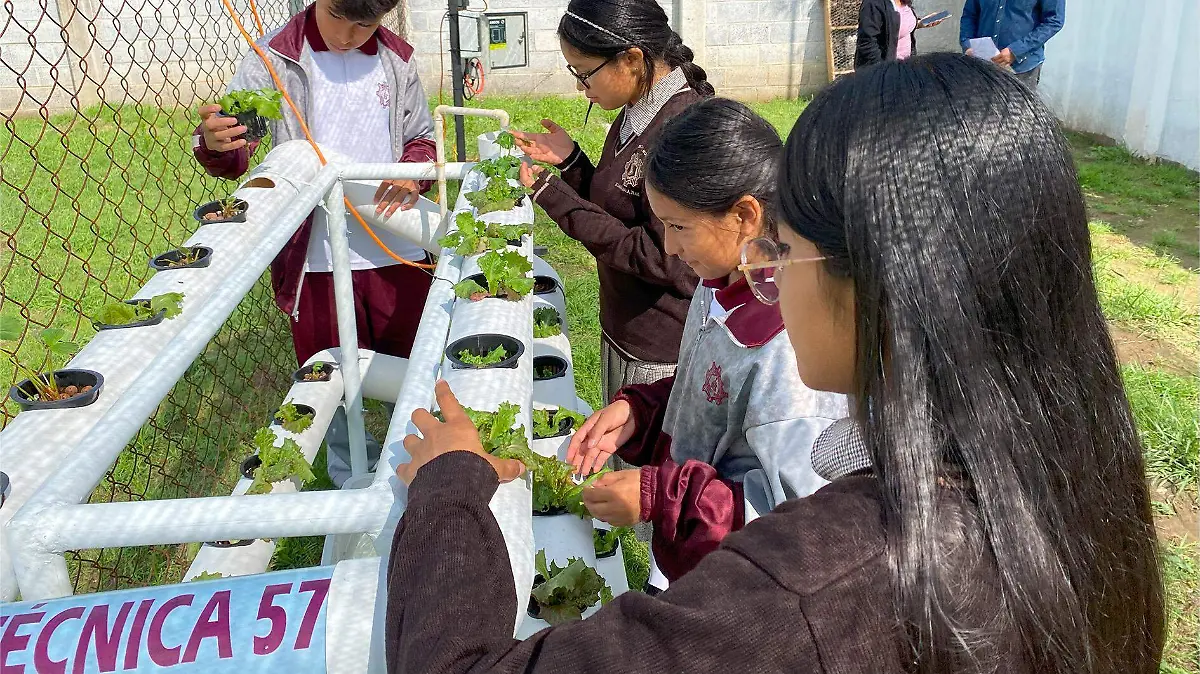 CULTIVO CON VENTAJAS