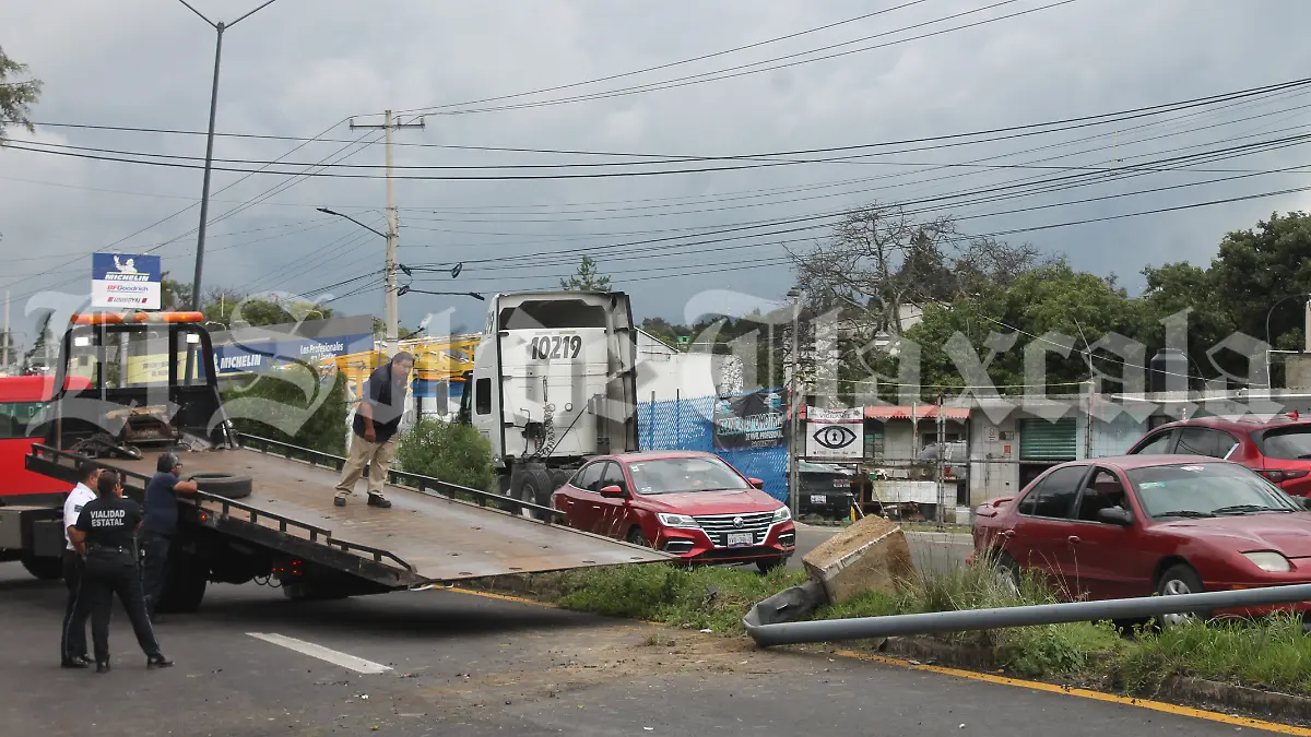 ACCIDENTE PERRO 1 1