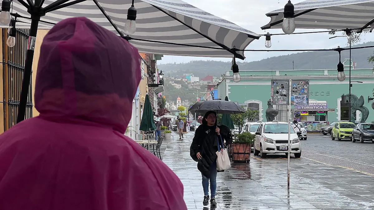 WhatsApp Image 2025-06-20 at 11.58.50 AM