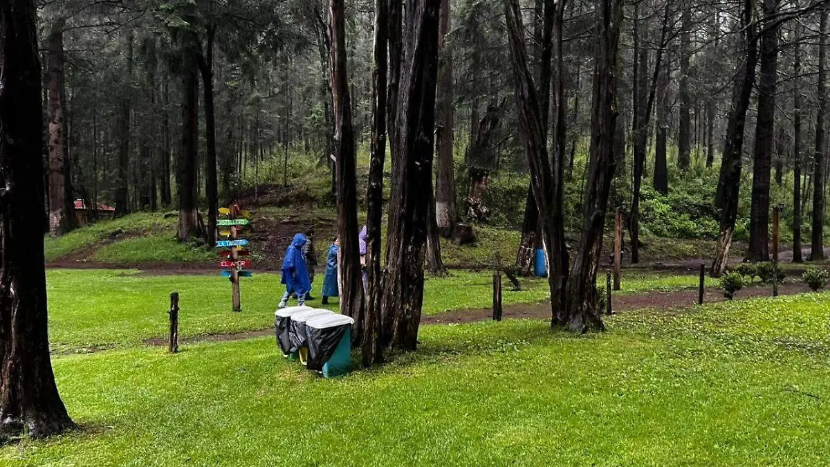 Vigilancia centros de avistamiento (2)