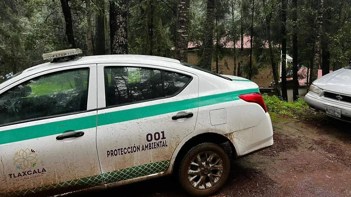 Vigilancia centros de avistamiento (1)