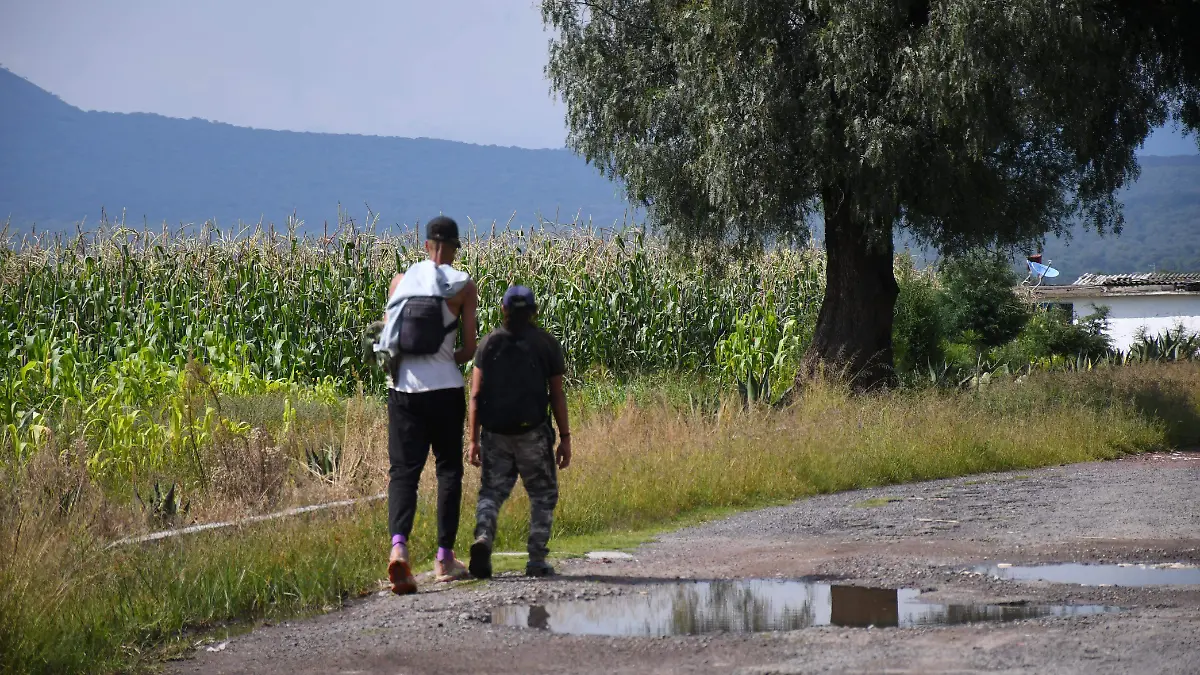 migrantes (3)