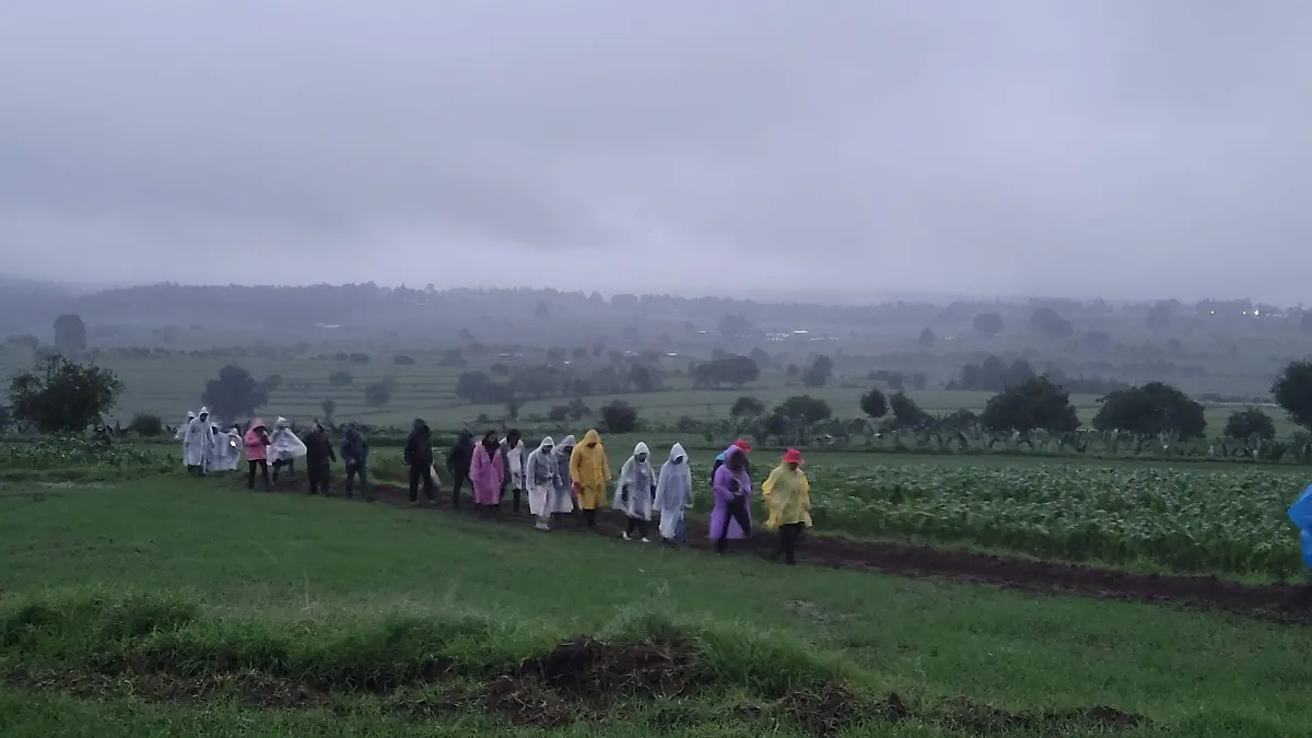 Avistamiento Luciérnagas 3