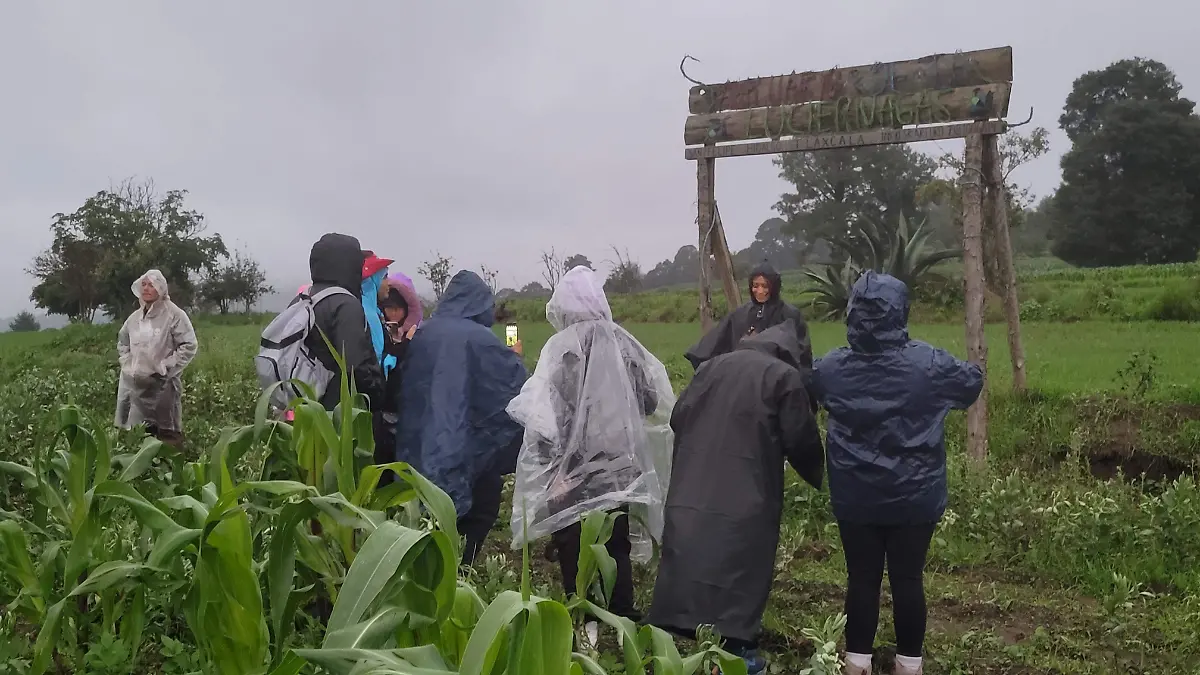 Avistamiento Luciérnagas 2