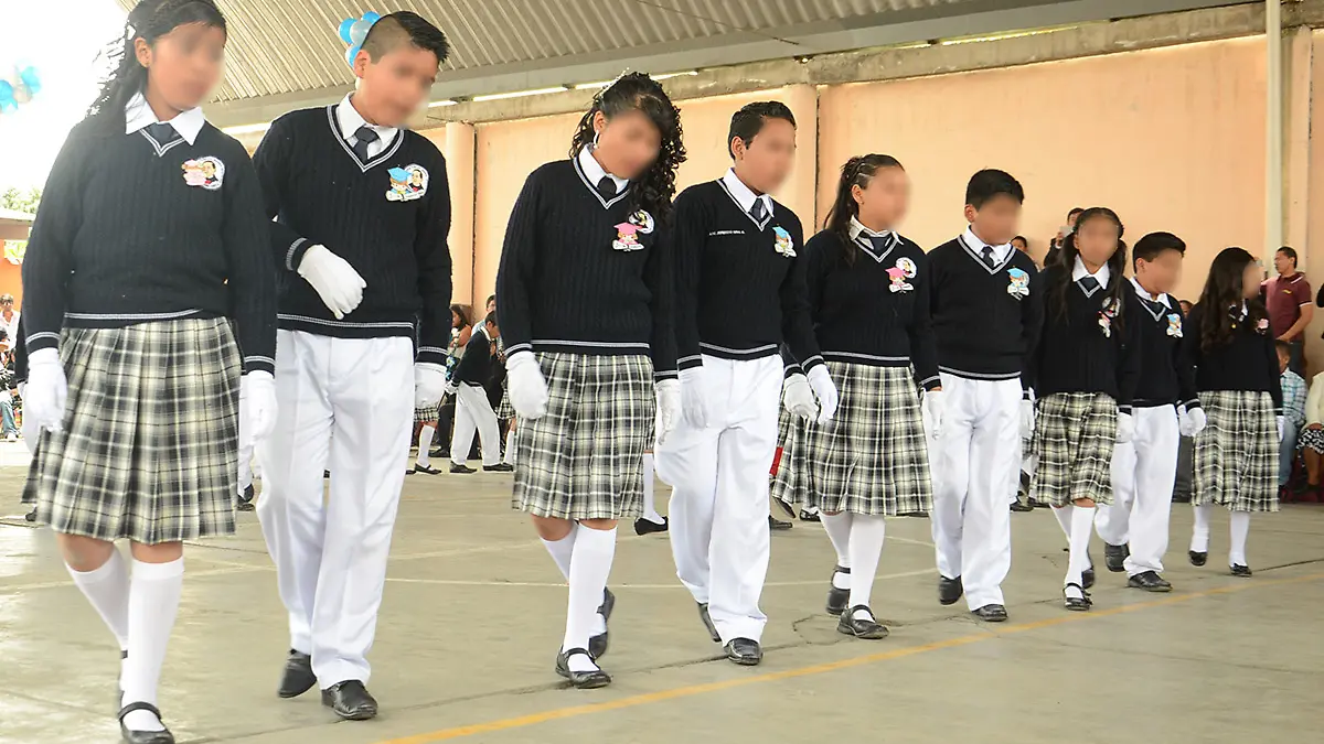 ACTIVIDADES PREVISTAS (3) 32