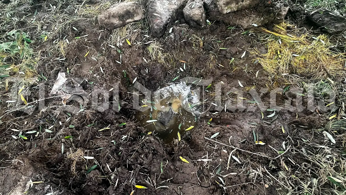 cadáverers nativitas (4) 4