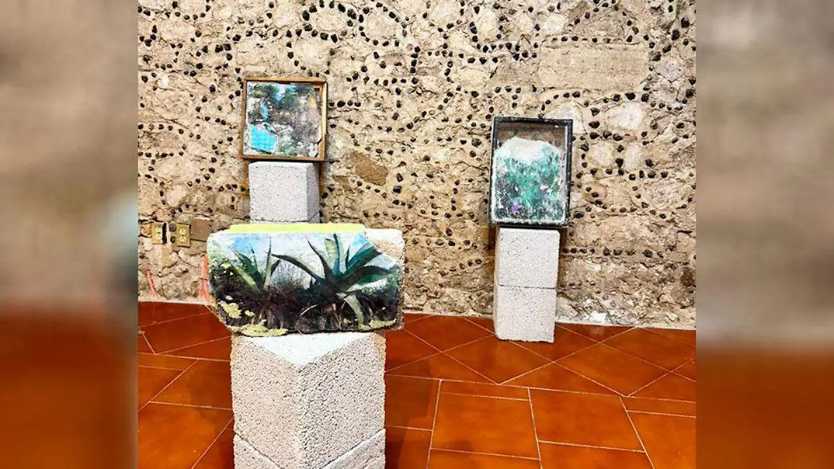 Romper-el-agua-en-la-Pnacoteca-(2)