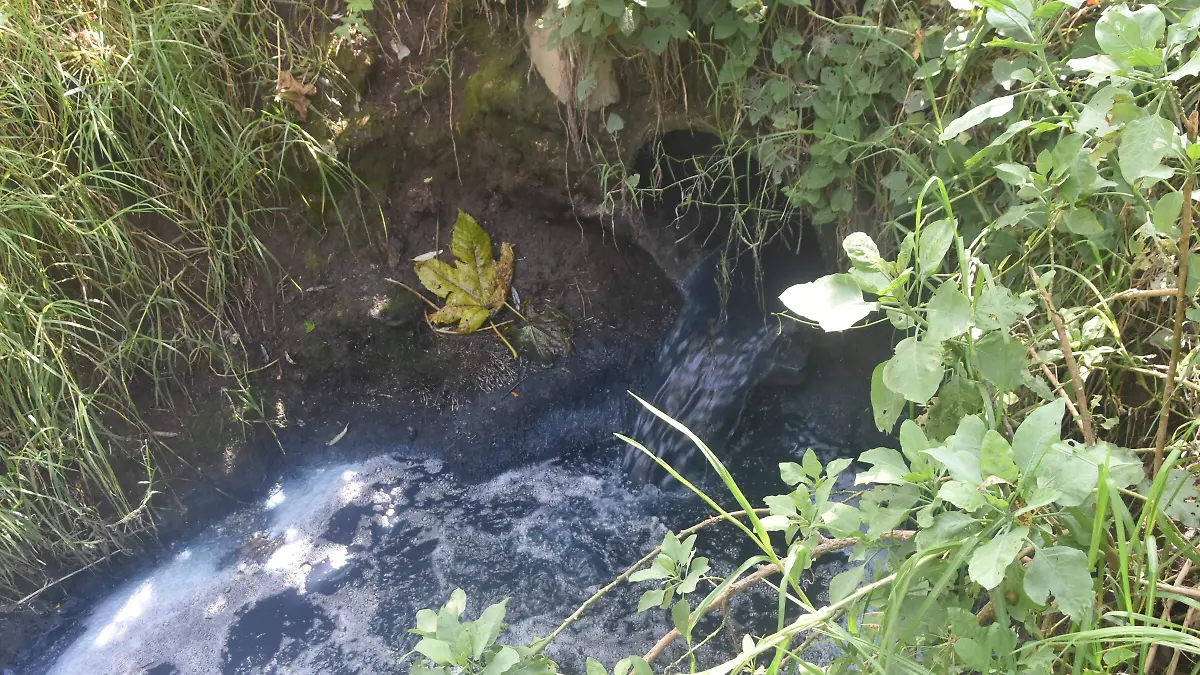 CONTAMINACIÓN TEXTIL