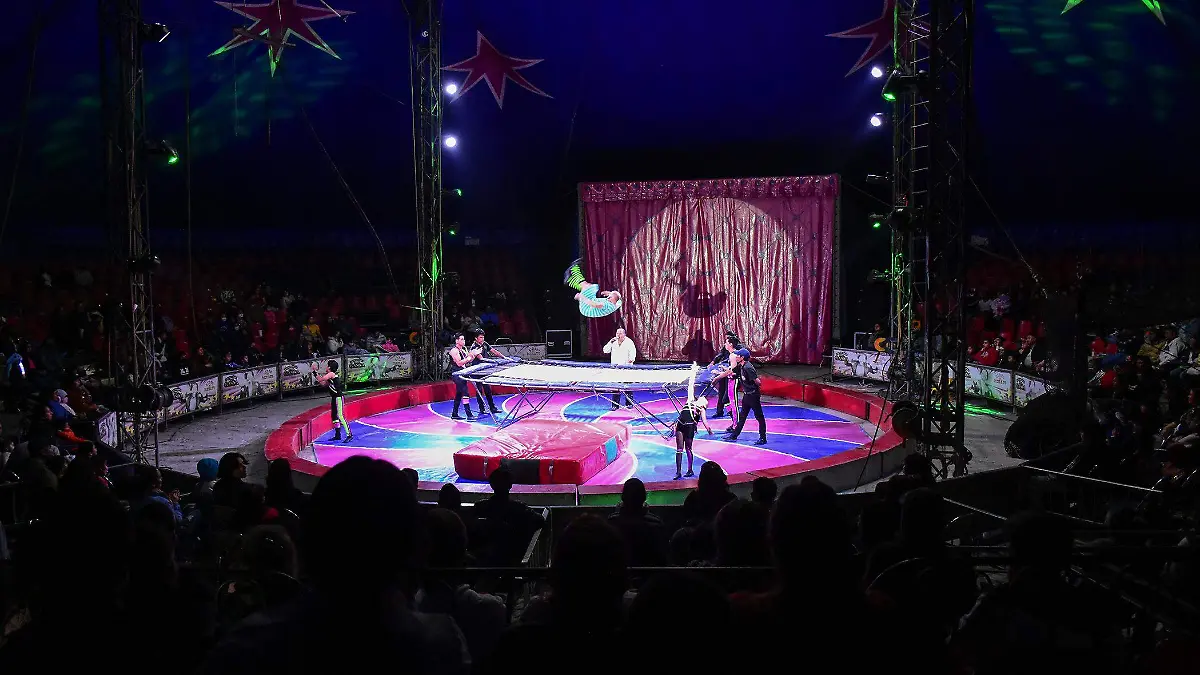 CIRCO (7)