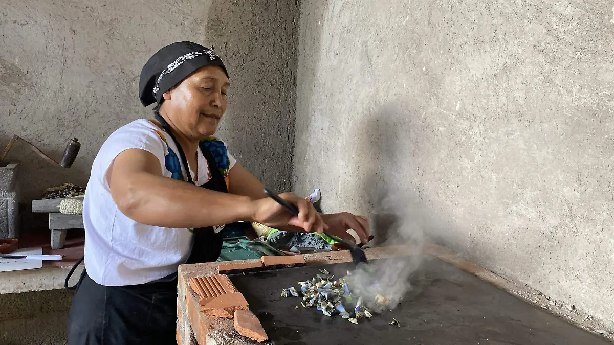 HONGOS NANACAMILPA 4