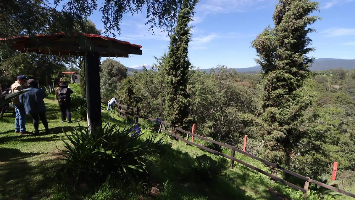 LUCIÉRNAGAS RANCHO BUENA VISTA 1