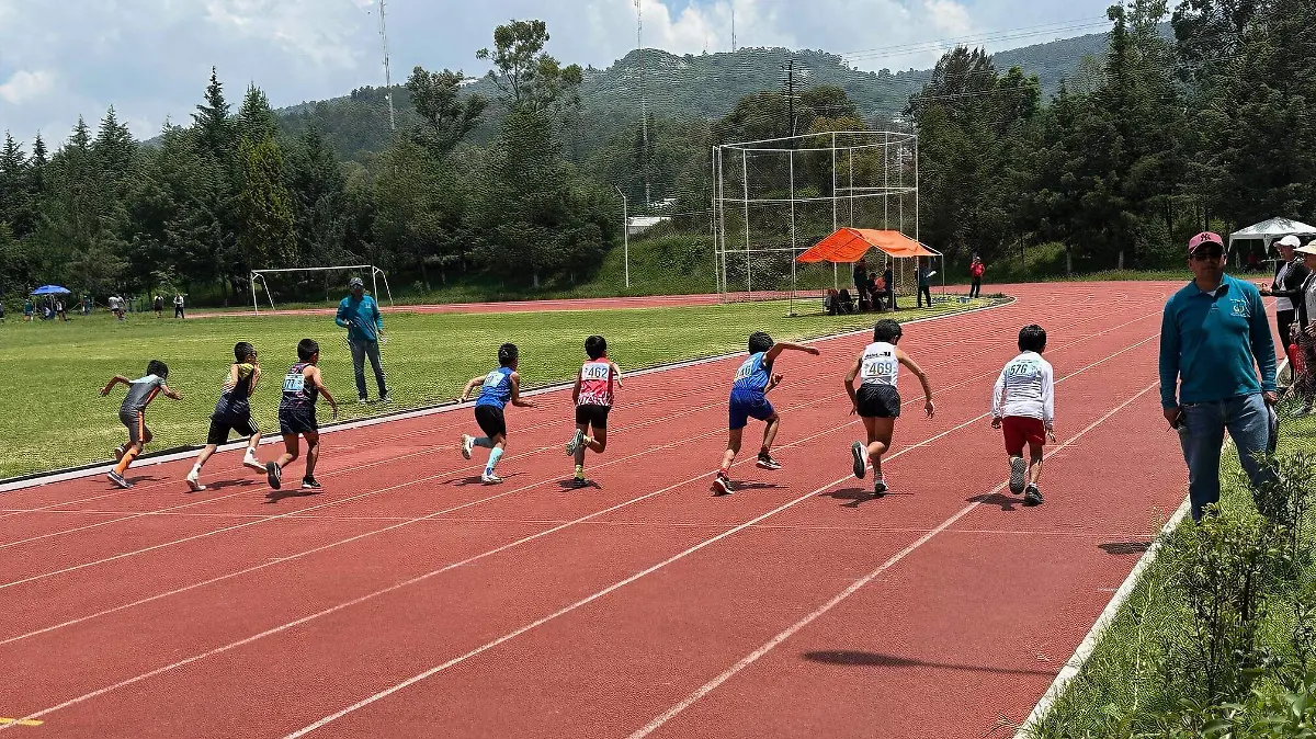 SEMILLERO DE CAMPEONES