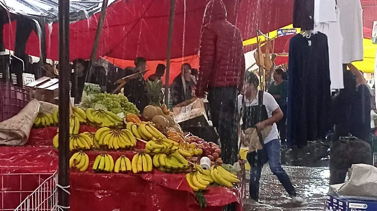 Lluvia granizo (1)