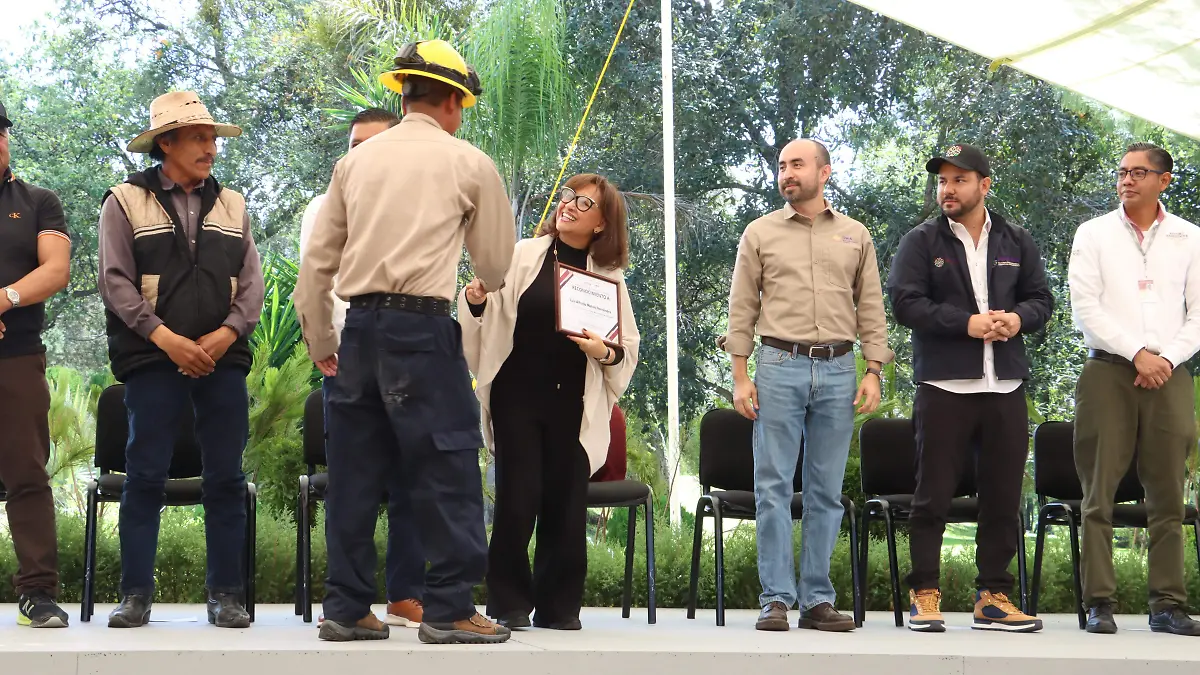 FIESTA EN EL BOSQUE 2