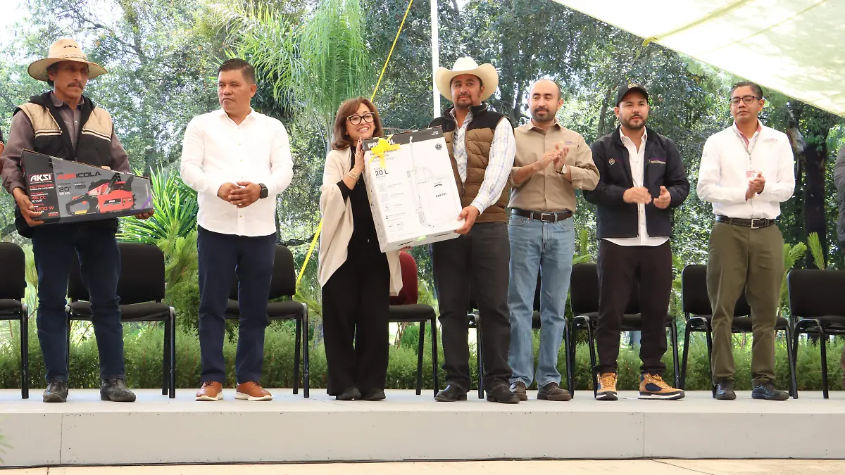 FIESTA EN EL BOSQUE 4