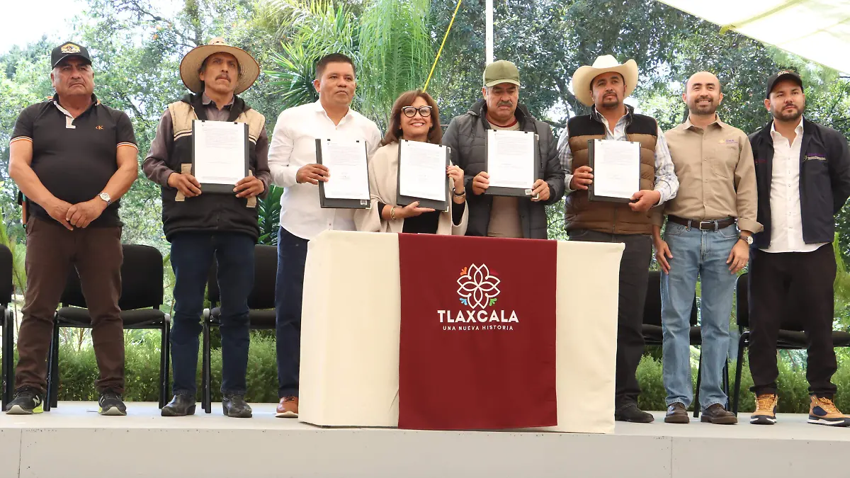 FIESTA EN EL BOSQUE 6