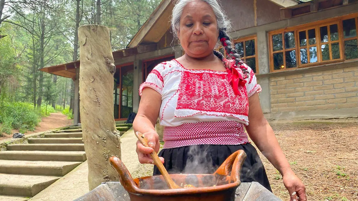 Eusebia cocinando hongos