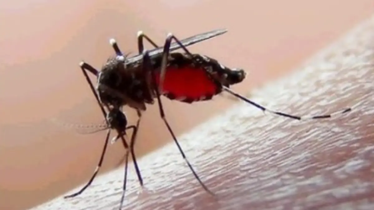 DENGUE EN TLAXCALA