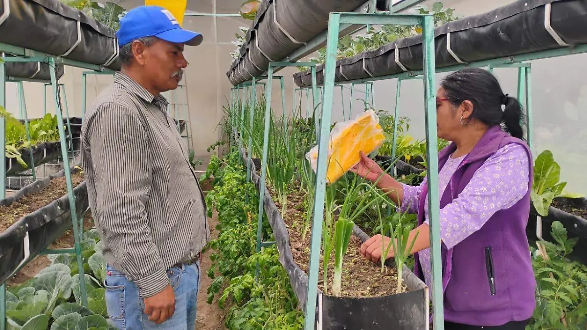 capacitación plagas 3.