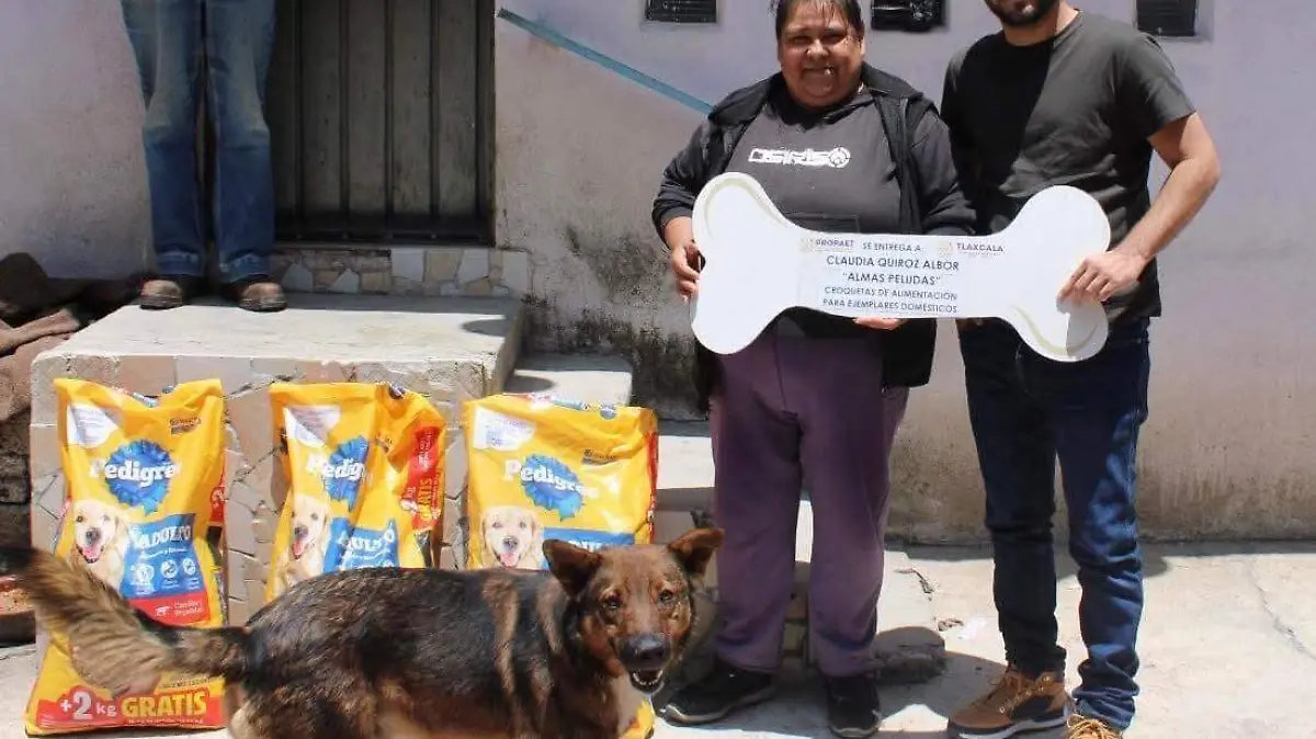 Propaet entrega insumos a rescatistas independientes de perros y gatos 4