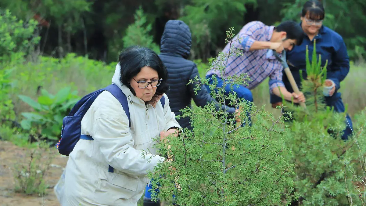 CONSERVACIÓN CERRO SAN GABRIEL 