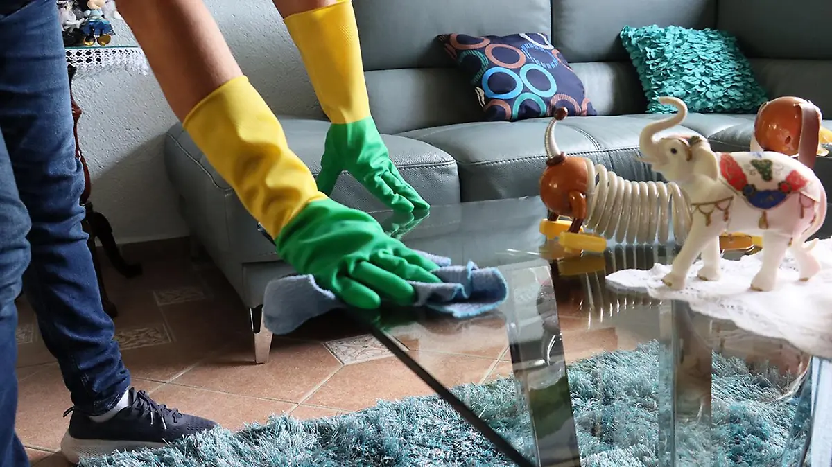 TRABAJO DOMÉSTICO 2