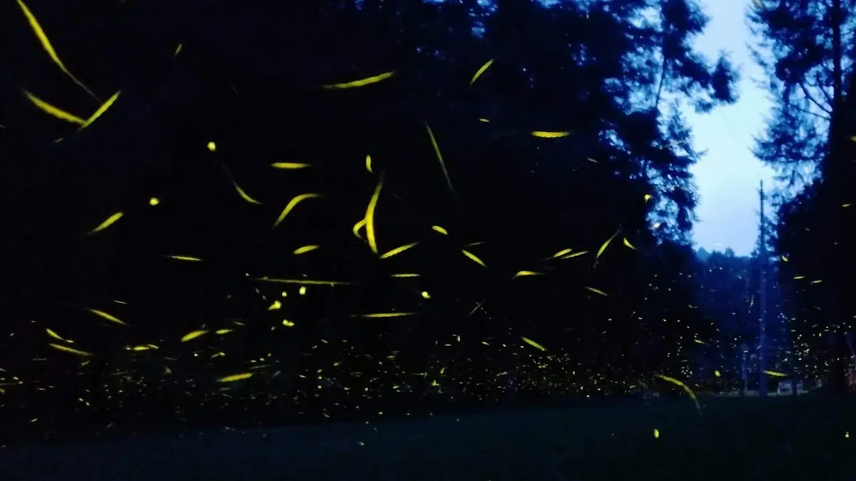 SIMPOSIO A CARGO DE AGROBIOLOGÍA