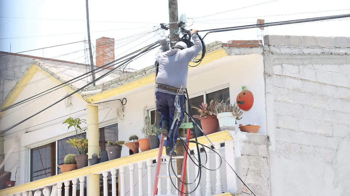 TRABAJADORES (2)