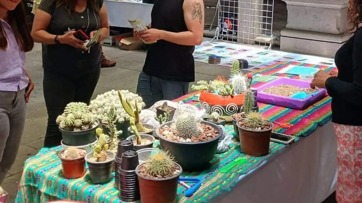 ACTIVIDADES FESTIVAL