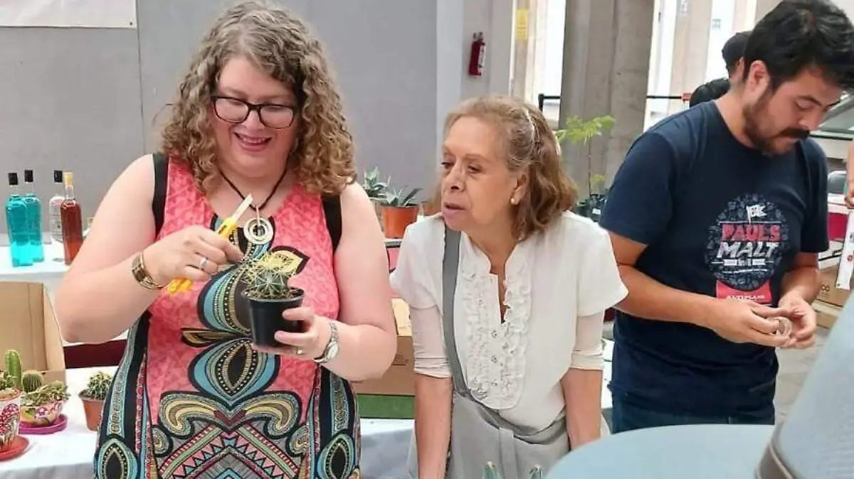 SABERES FLORA FESTIVAL SUCULENTAS