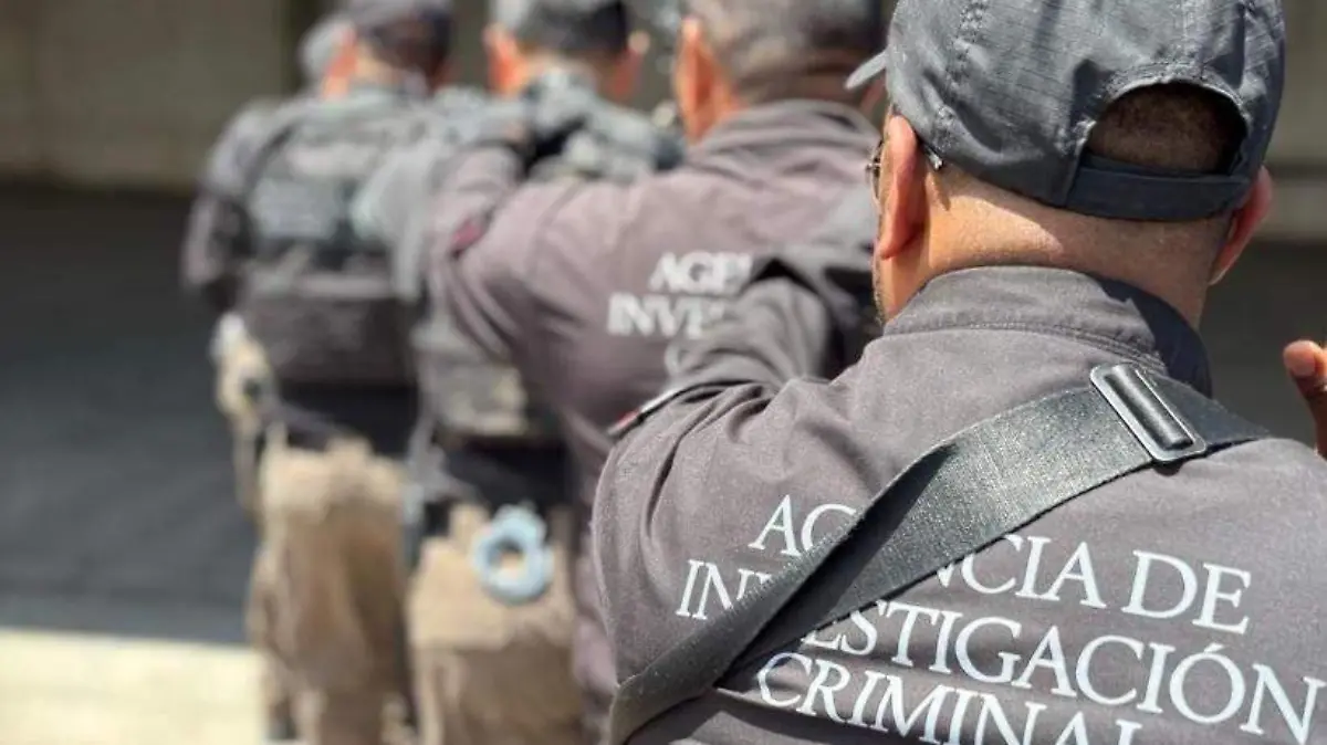 Catean bodega en Tlaxco por presunto almacenamiento ilegal