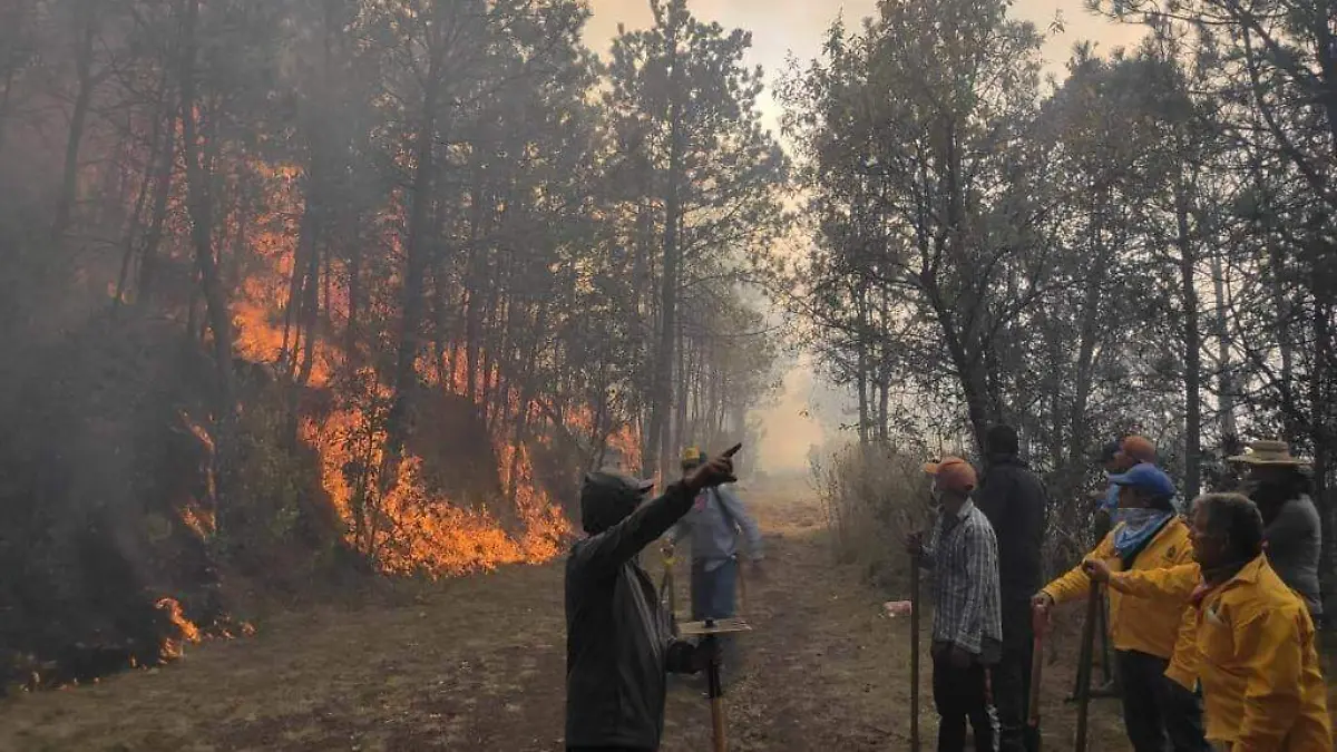 INCENDIO 3