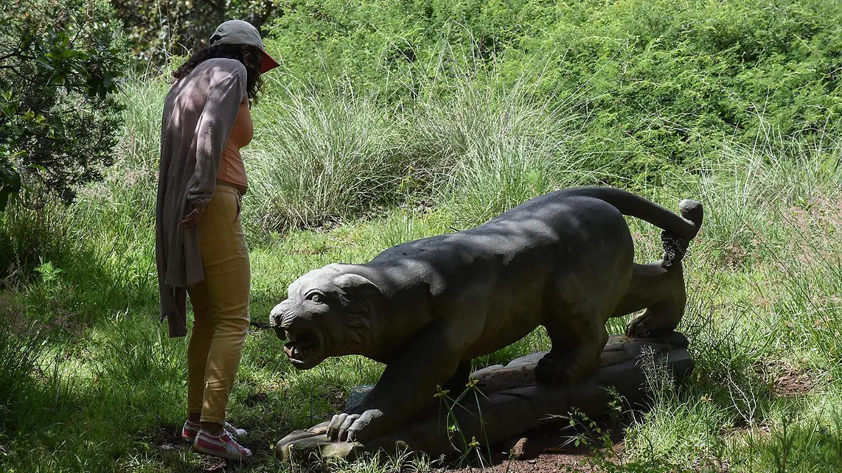 ZOOLOGICO DE PIEDRA (5)