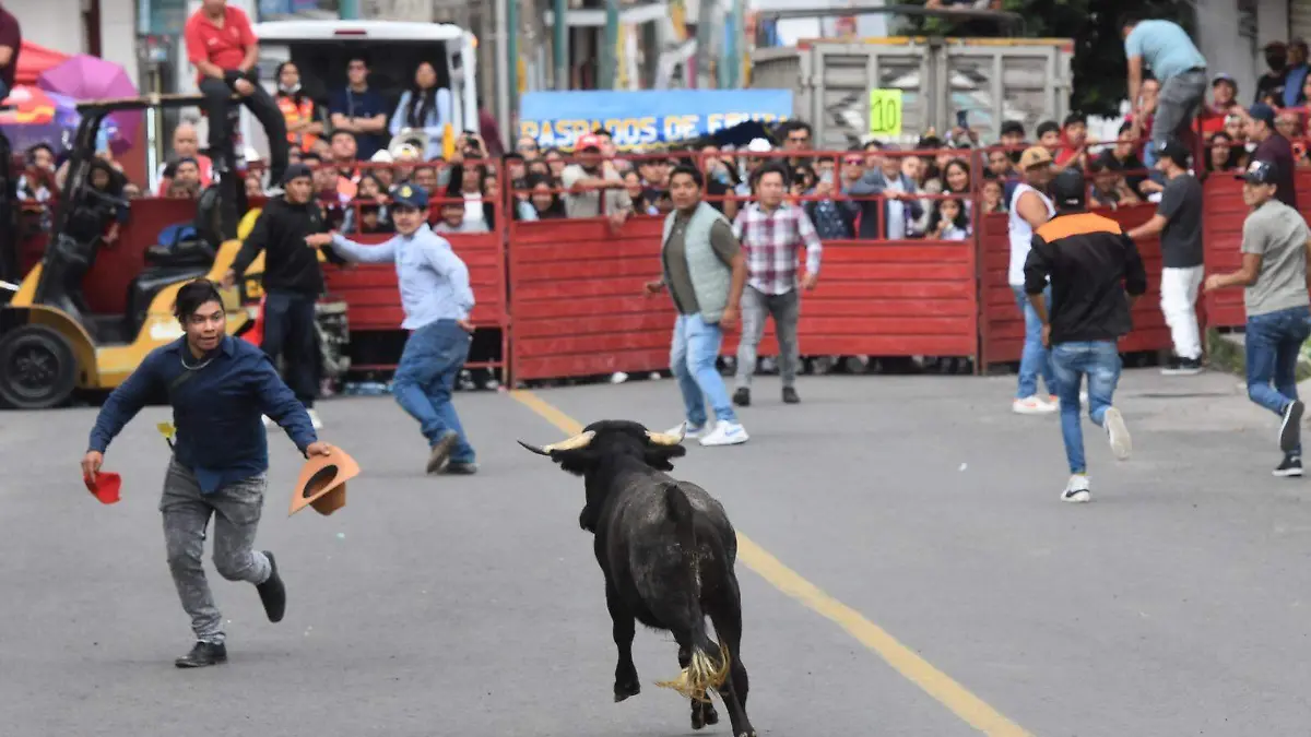 “Chiautempada” 2025 deja saldo de un joven lesionado