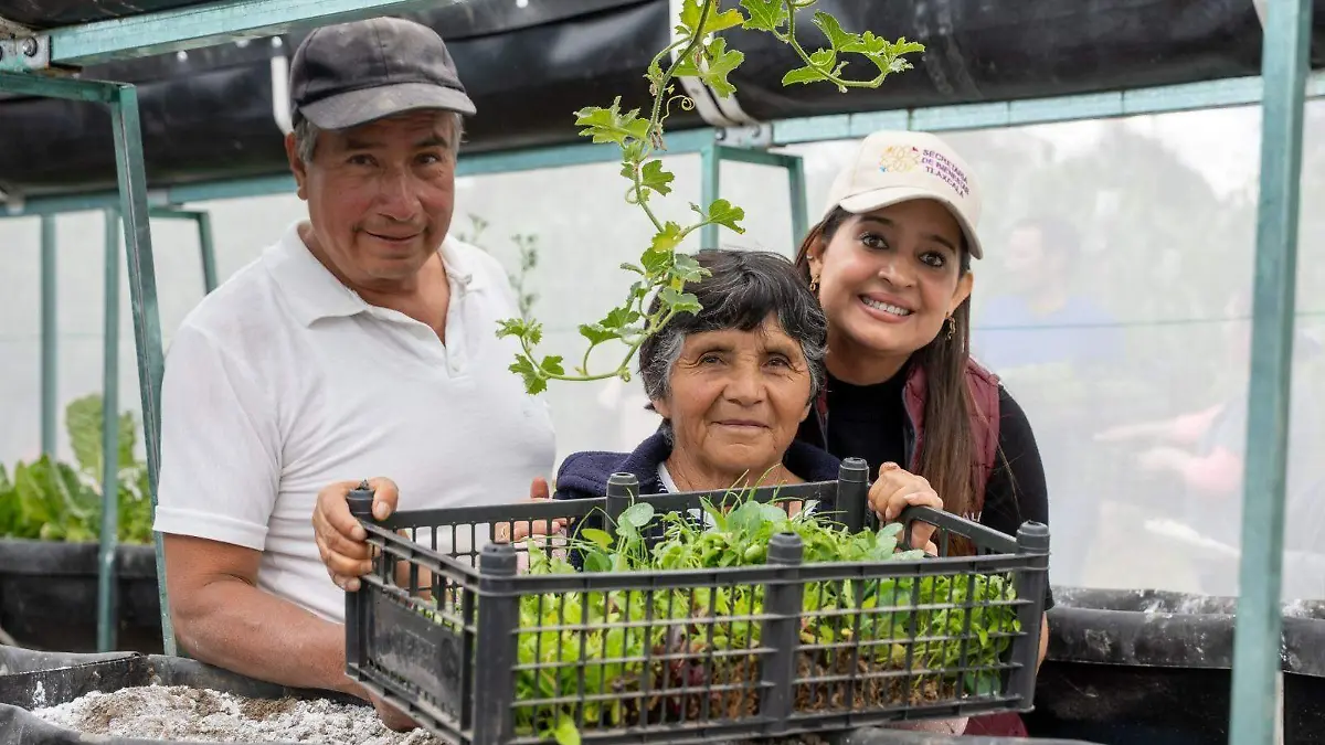 Seguridad alimentaria con hortalizas (6)