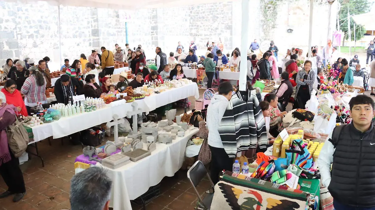 PUEBLOS INDÍGENAS 7