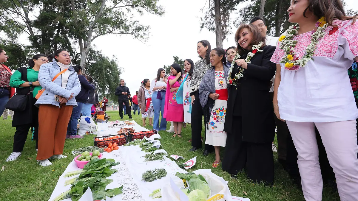 PUEBLOS INDÍGENAS 11