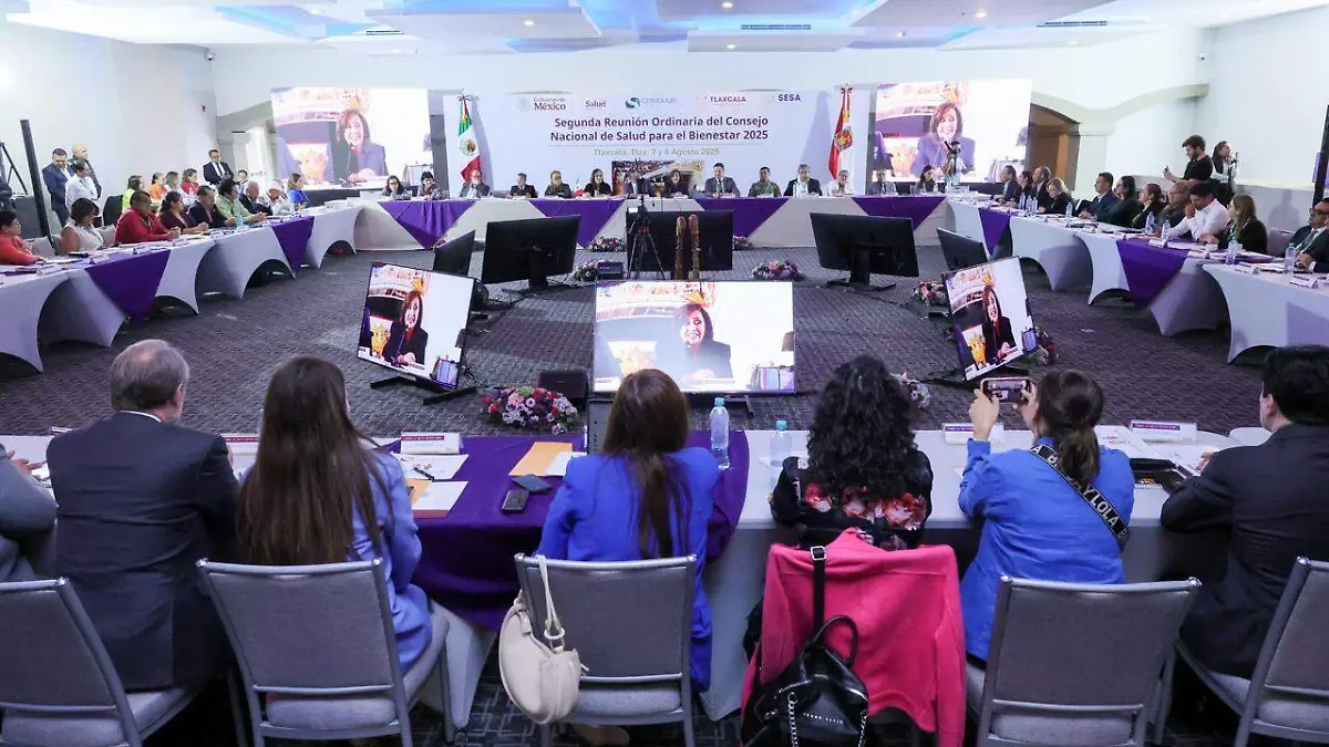 Consejo Nacional de Salud para el Bienestar 