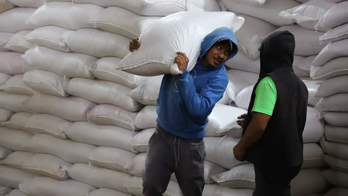 entrega de semilla de avena (2)