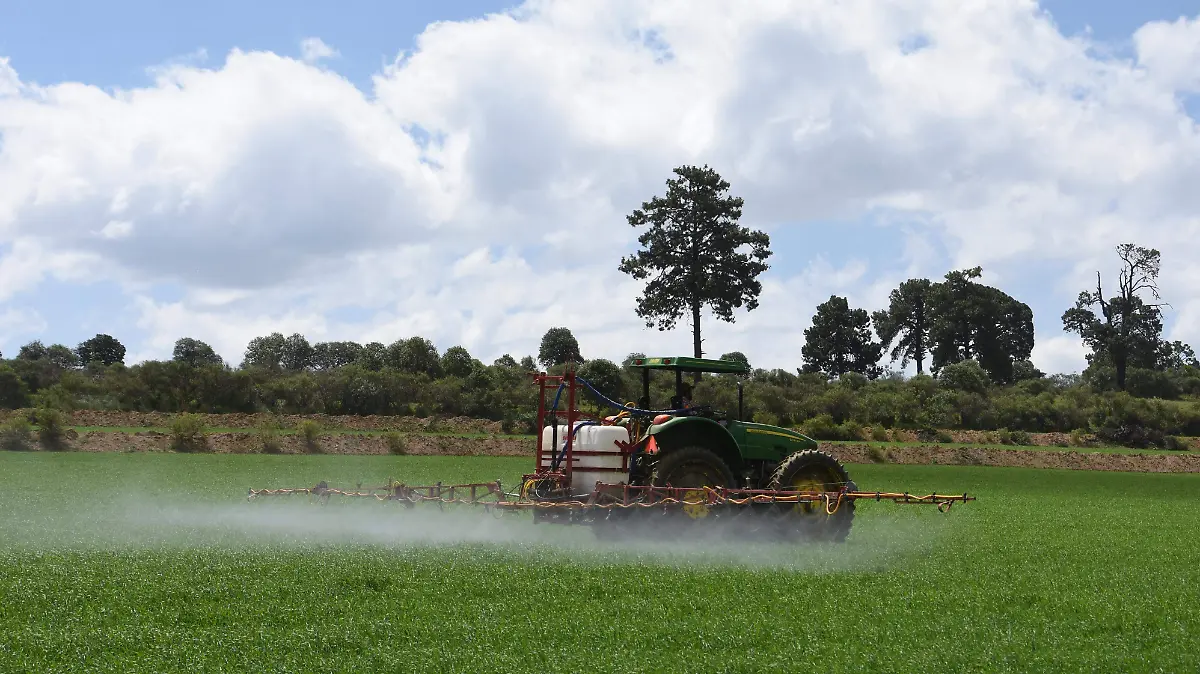 TRABAJADORES CULTIVOS 2