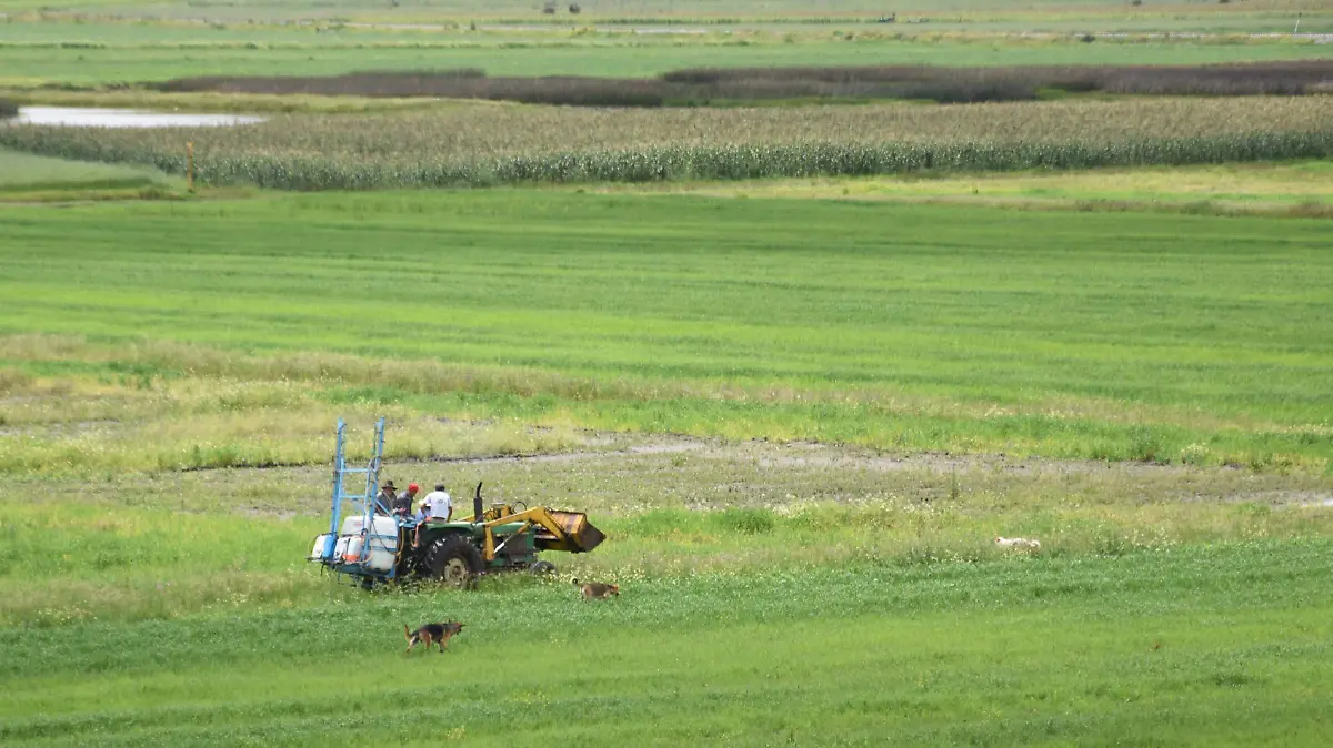 TRABAJADORES CULTIVOS 3