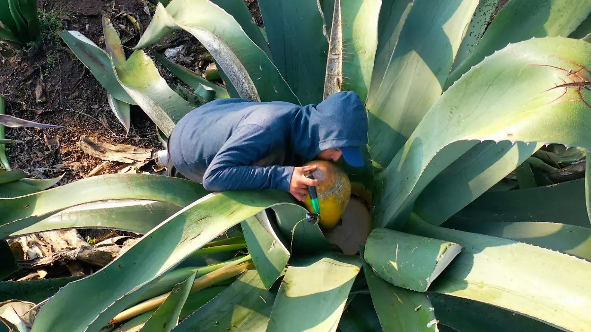 Guía nacional de turismo comunitario (6)