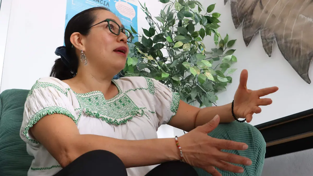 INVESTIGADORA UATx 1