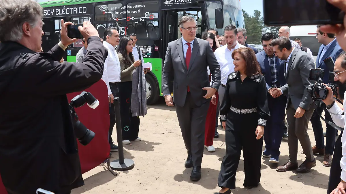 POLO DESARROLLO (6)
