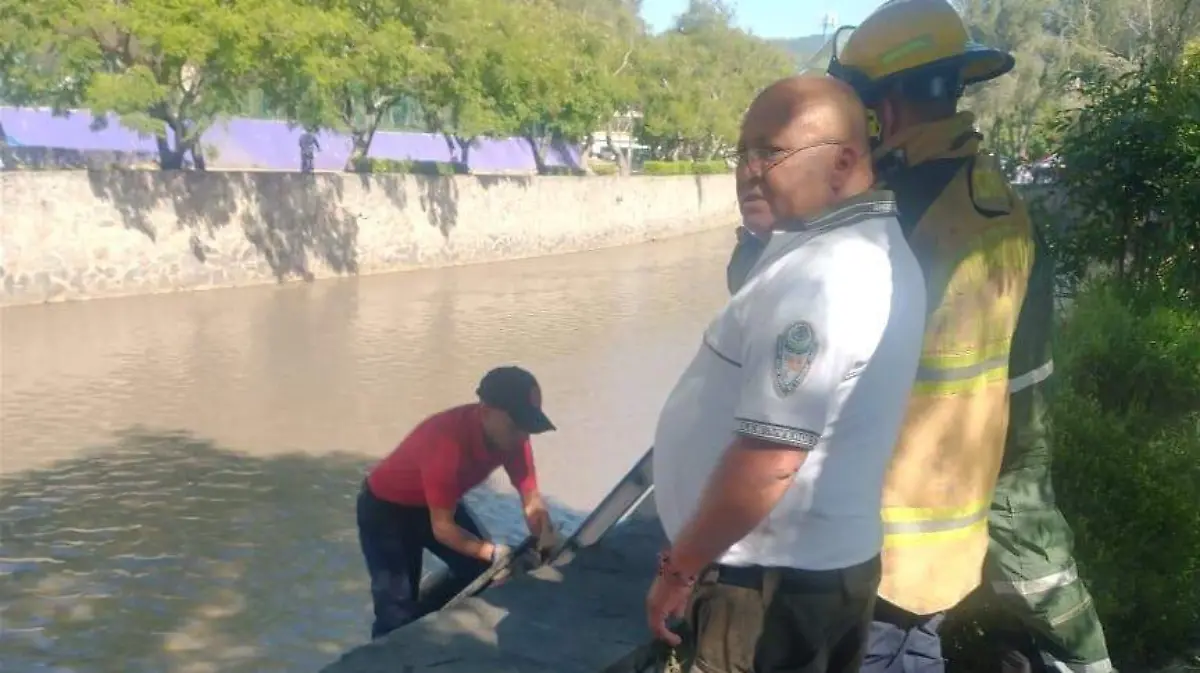 Solidaridad salva a lomito que era arrastrado por el agua en el río Zahuapan