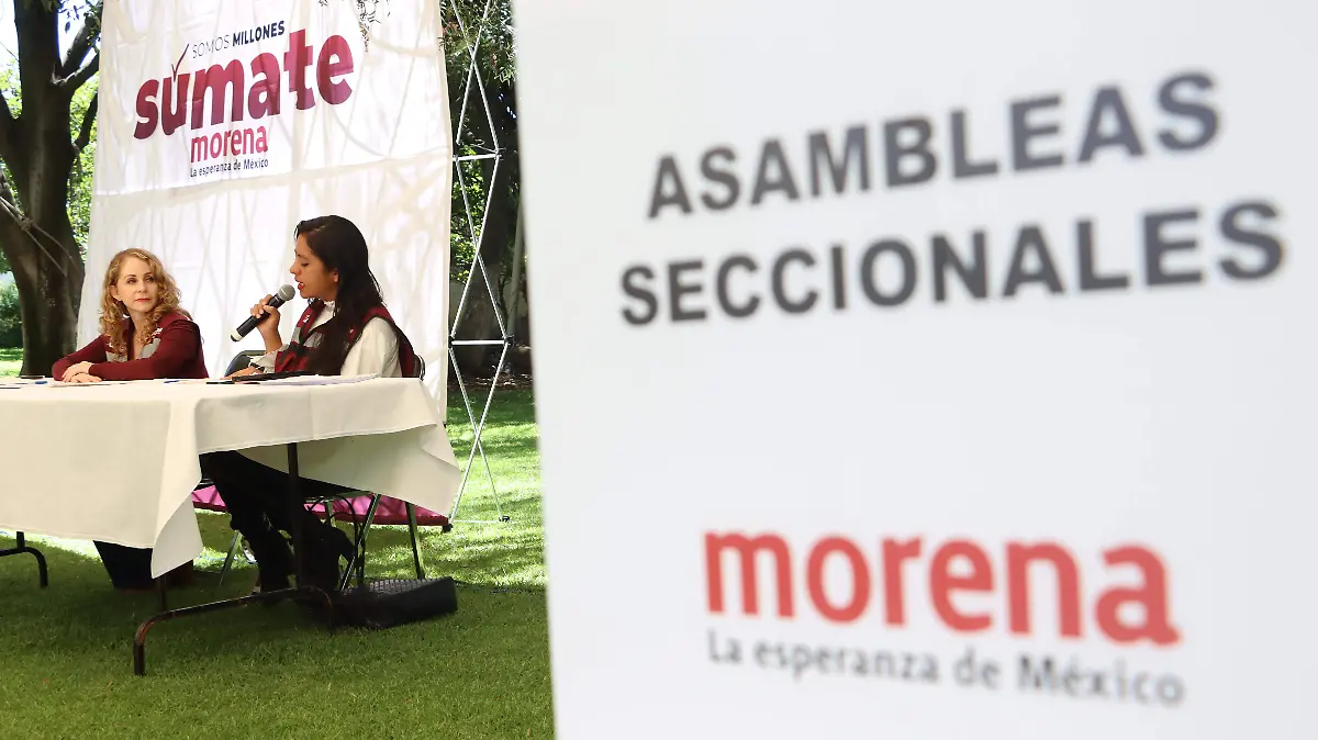 COMITÉS SECCIONALES 2